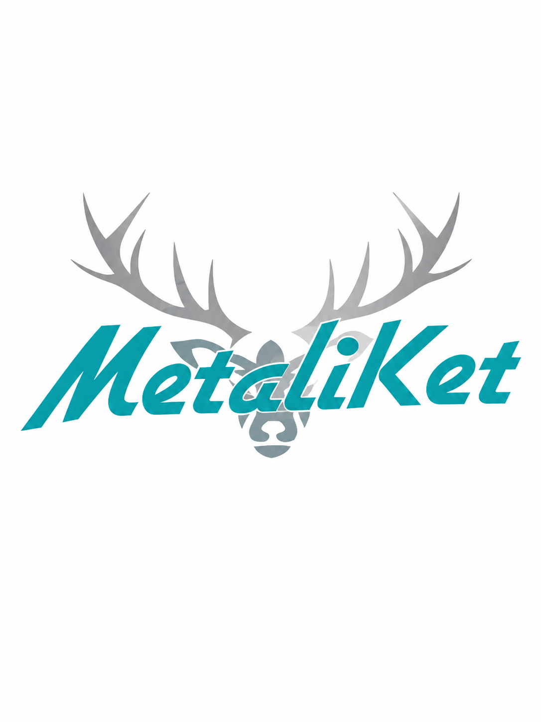 Metaliket